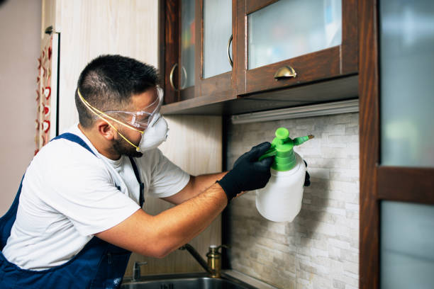 Best Bed Bug Extermination  in Port Allegany, PA
