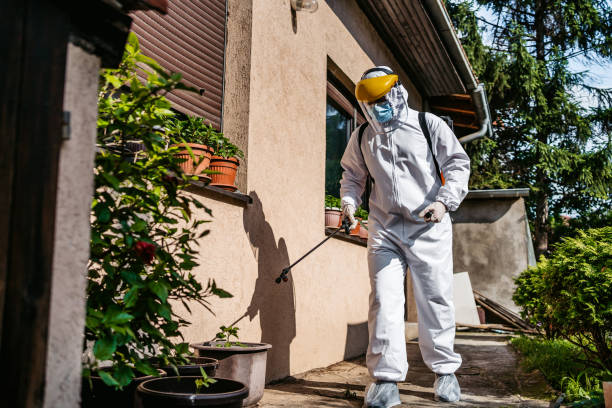 Reliable Port Allegany, PA Pest Control Solutions