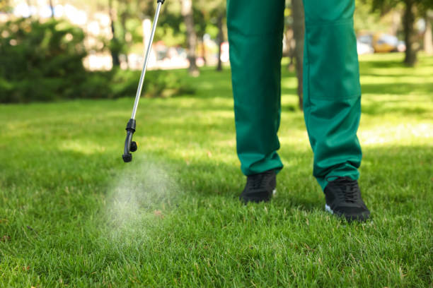 Best Exterminator Services  in Port Allegany, PA