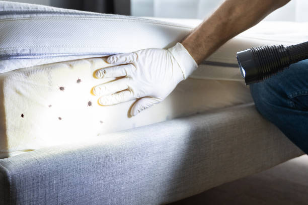 Best Commercial Pest Control Services  in Port Allegany, PA